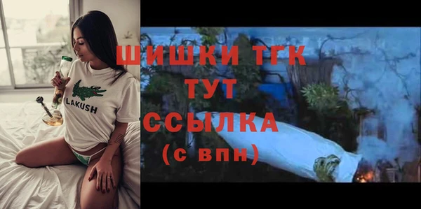 дживик Коряжма