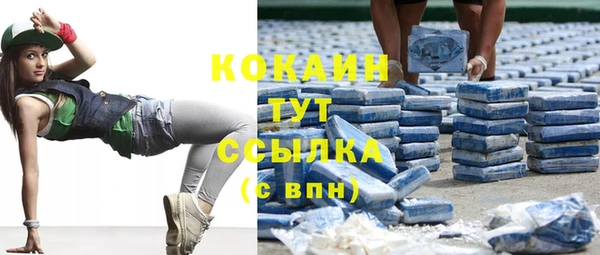Альфа ПВП Корсаков