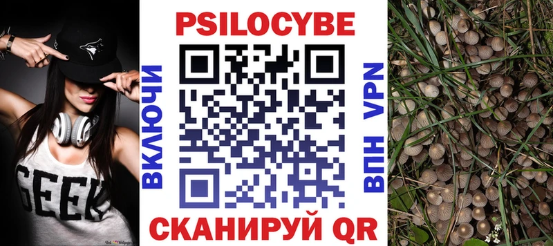 Купить где  Венёв  Псилоцибиновые грибы Psilocybe 